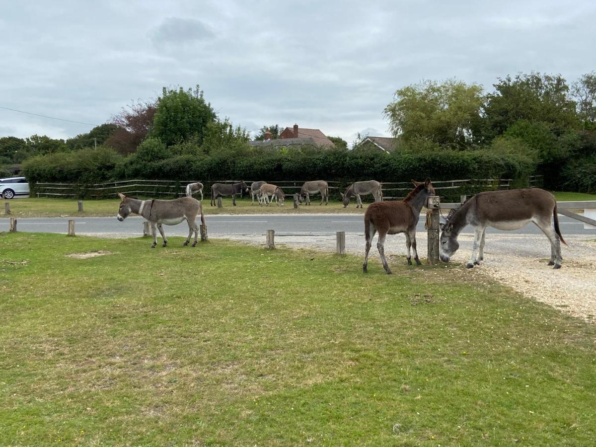 Thatch Cottage, East Boldre Nr Beaulieu And Lymington ブロッケンハースト エクステリア 写真
