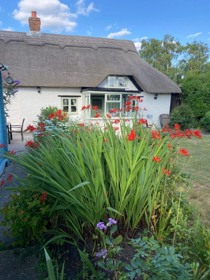 Thatch Cottage, East Boldre Nr Beaulieu And Lymington ブロッケンハースト エクステリア 写真